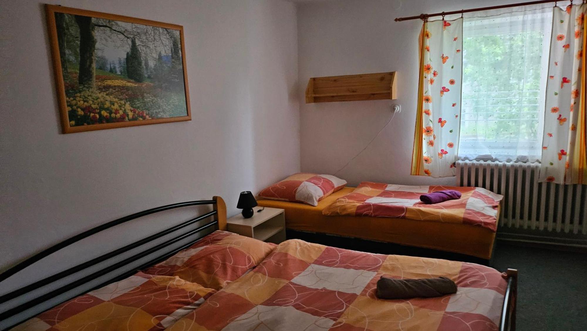 Penzion Tomy Pihlov Horní Planá エクステリア 写真