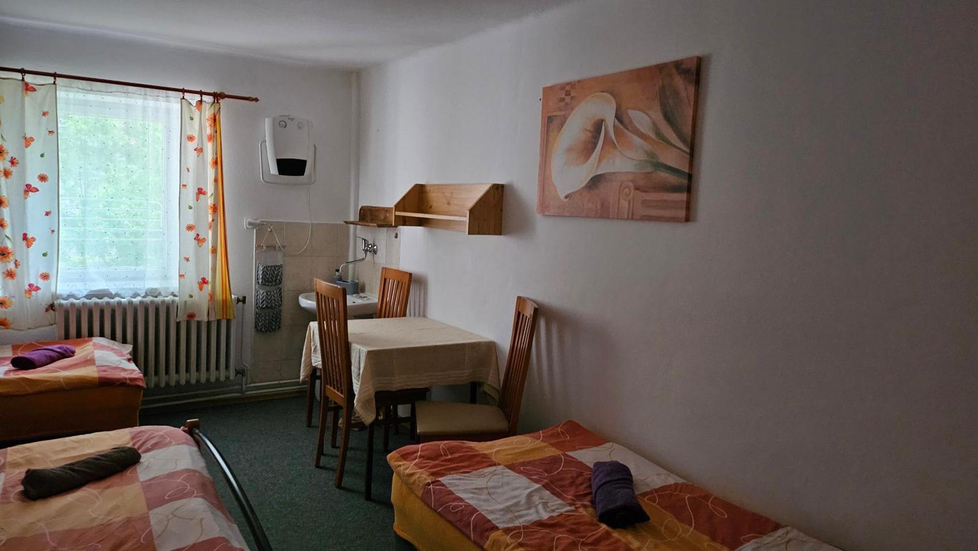 Penzion Tomy Pihlov Horní Planá エクステリア 写真